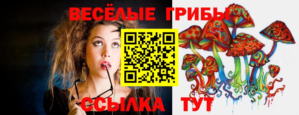 Галлюциногенные грибы Psilocybine cubensis  Вход с VPN  Кулебаки 